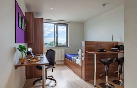 Standard Plus Studio