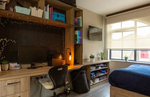 Large Studio Plus