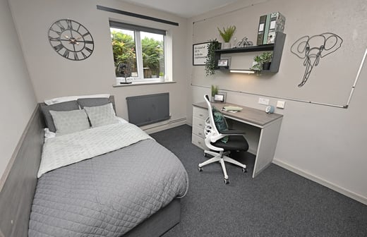 Bronze Plus Room