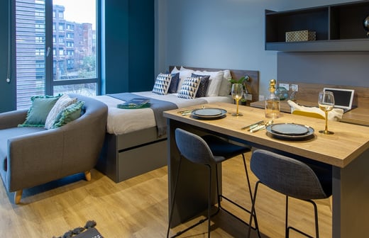 Luxury Plus Studio