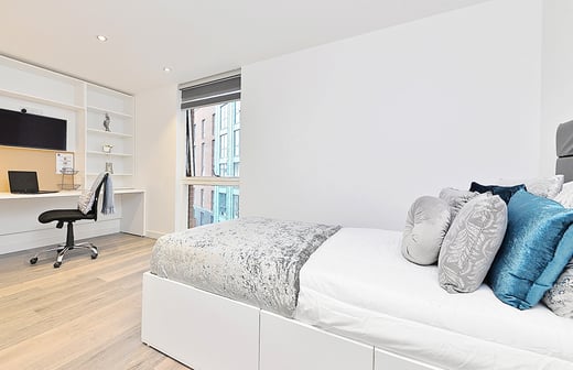 Large Premium Studio