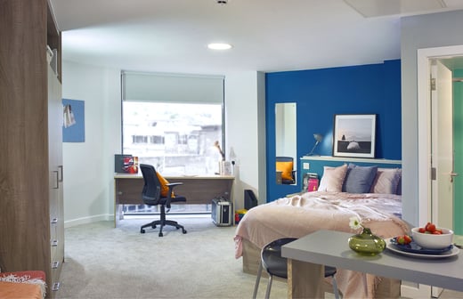 Premium Plus Studio