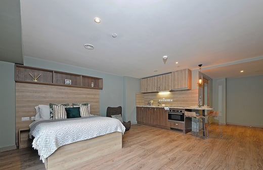 Luxury Plus Studio