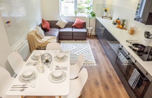 Shared kitchen and living space