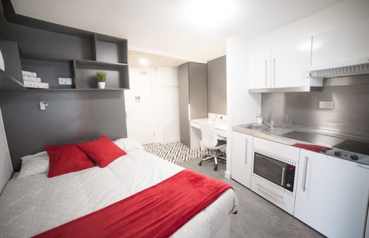Platinum Studio (Access.)