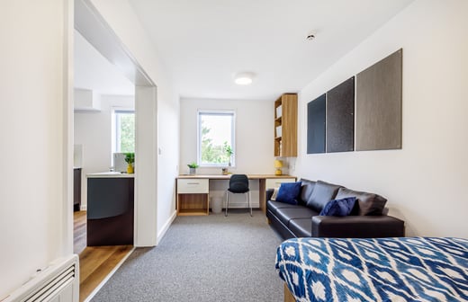 Bedroom and study space