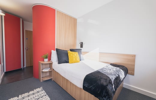 Bed and storage area