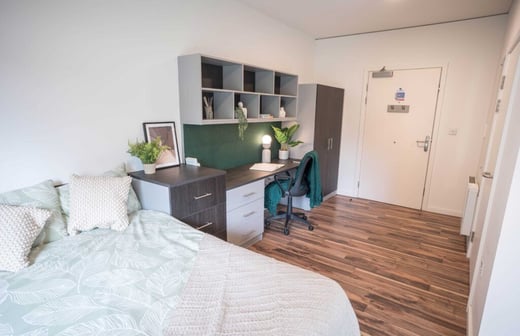 Premium Adaptable Studio