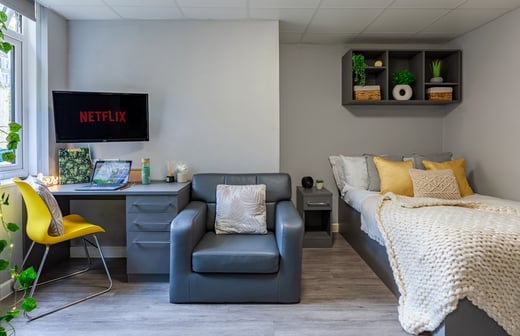 Luxury Studio