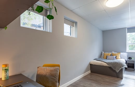1 Bed Apartment