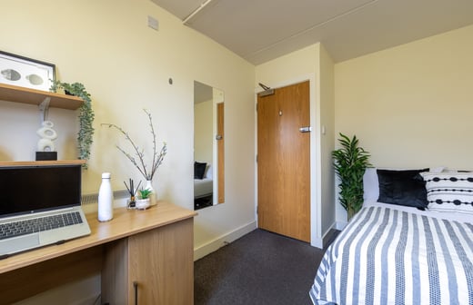 Bronze Non Ensuite