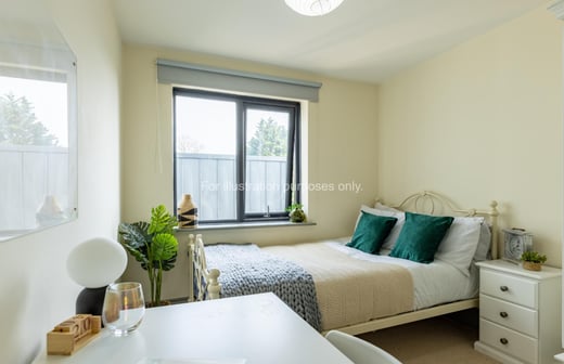 Gold Plus Room
