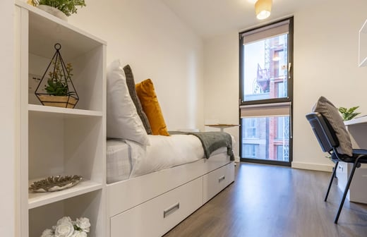 Premium Plus Studio