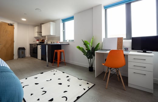 Extra Large Studio