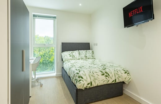 Deluxe Accessible Studio