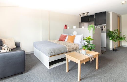Premium Plus Studio