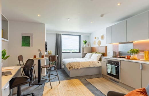 Superior Studio Plus with City Views