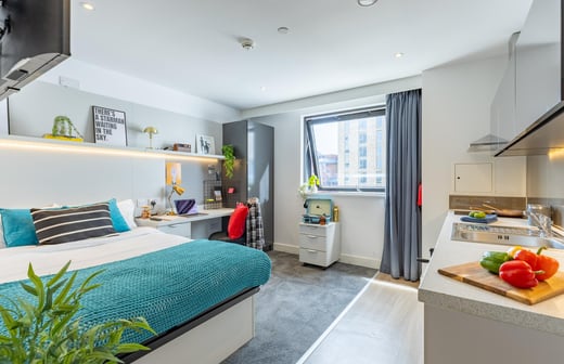 true Accessible Studio