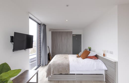 Platinum Studio Room
