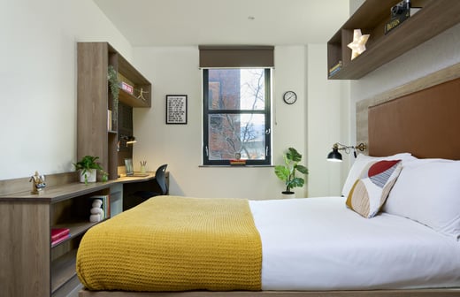 Gold Studio Terrace