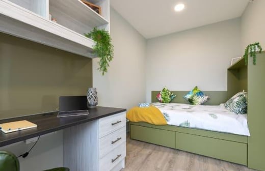 Premium Terrace Studio