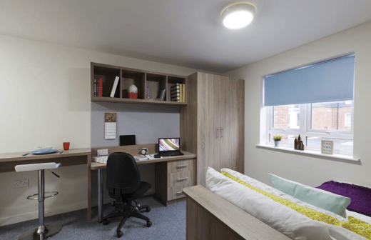 Premium Plus Studio