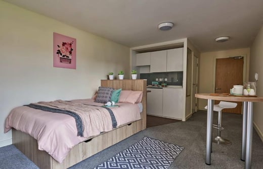 Deluxe Accessible Studio