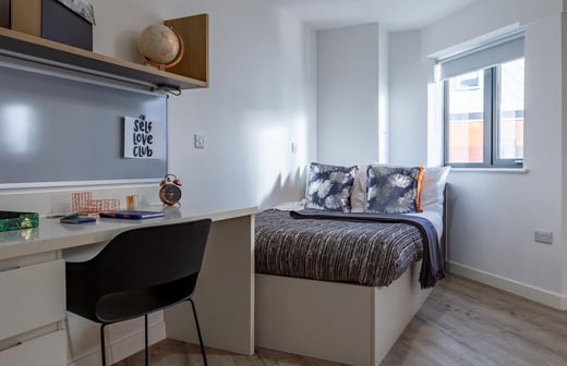 Deluxe Plus Studio - Accessible