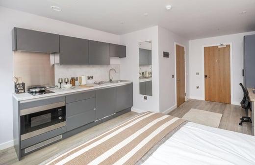 Large Premium Studio