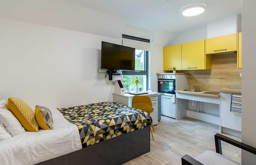 Deluxe Accessible Studio