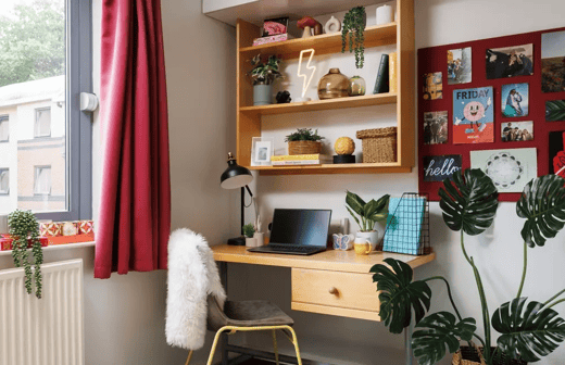 3 Bed Flat