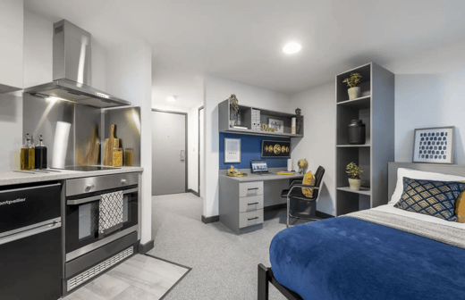 Gold Studio Plus
