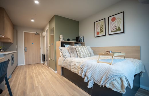 Classic Studio, Standard Floors
