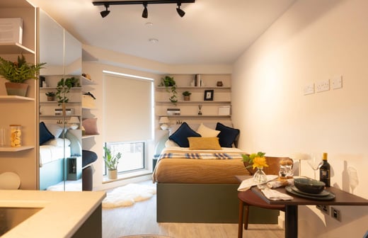 Comfort Studio