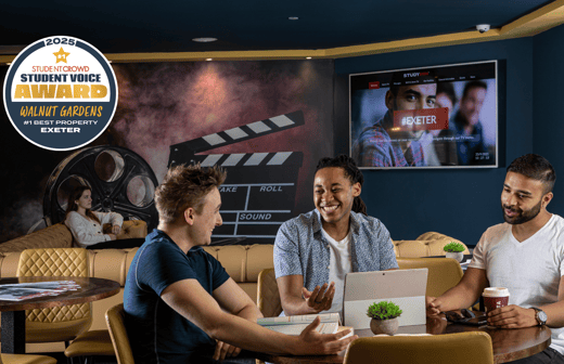Entertainment area