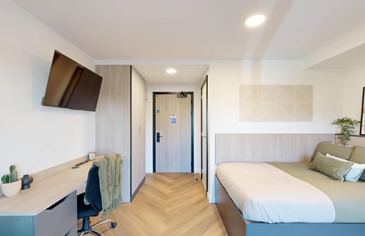 Premium Studio Ground