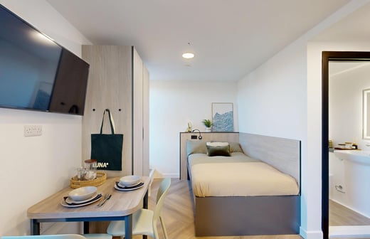 Premium Plus Studio