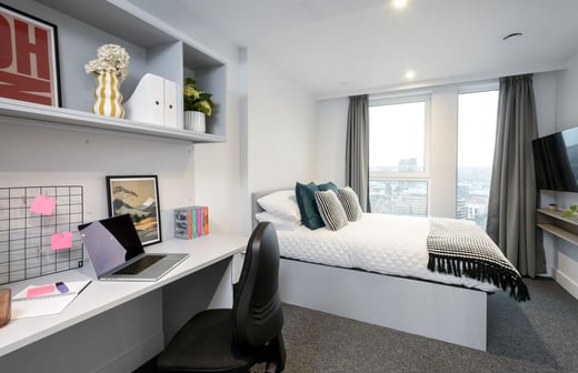 true Sky Deluxe Studio