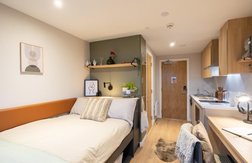 Premium Studio Plus, Upper Floors