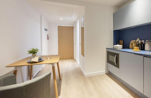 Premium Penthouse Studio