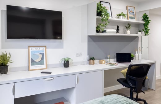 true Studio River View