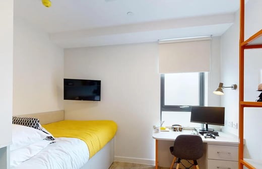 Penthouse Studio