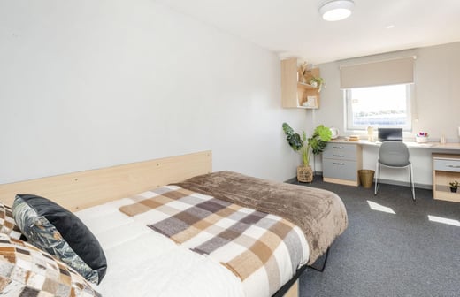 Premium Plus Ensuite