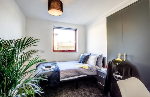 3 bed