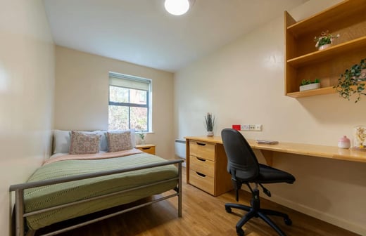 Bronze Non Ensuite
