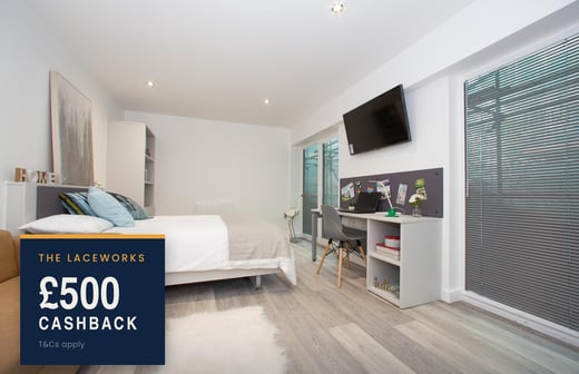 Silver Plus Balcony Studio