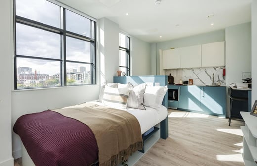 Platinum Plus Studio