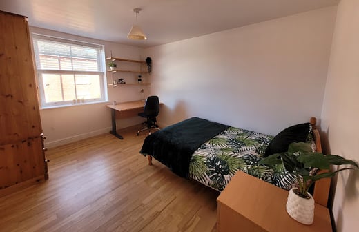 Room 7 in 12 bed house