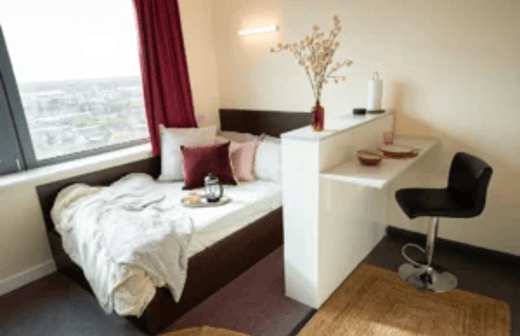 Premium Student Studio