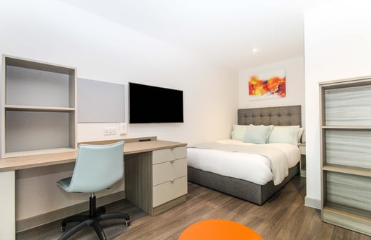 Luxury Apartment